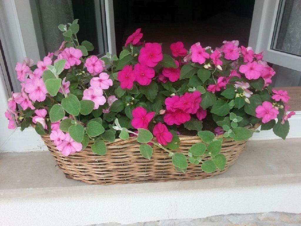 Rosa Apartman Crikvenica Exteriér fotografie